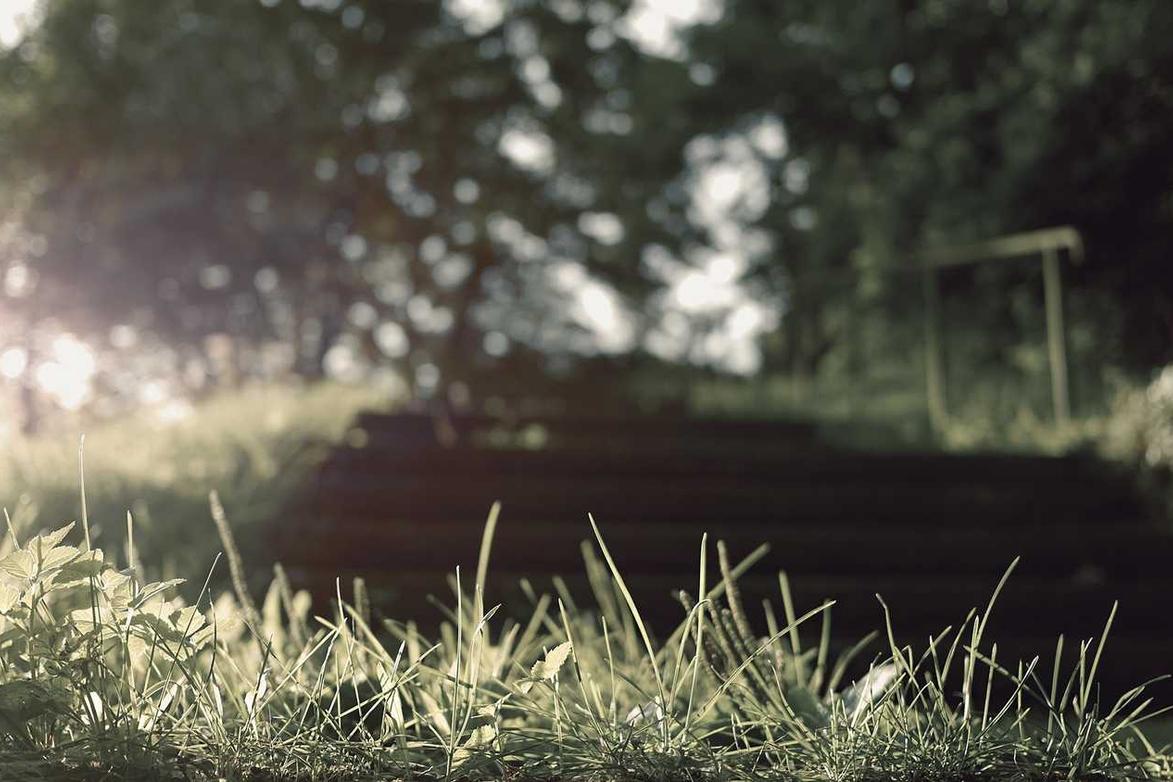 Officiis ad et asperiores impedit